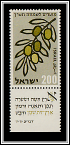 Olives (Olea europaea)