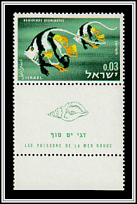 Pennant Coralfish (Heniochus acuminatus)