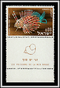 Red Lionfish (Pterois volitans)