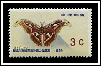 Yonaguni Moth