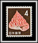 Emperor Snail (Pleurotomaria hirasei)