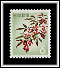 Sacred Bamboo (Nandina domestica)