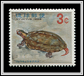 Geoemyda Japonica Spengleri
