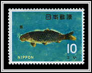 Koi
