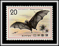 Bonin Flying Fox (Pteropus pselaphon)