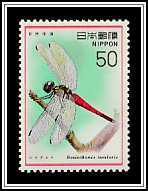 Dragonfly (Boninthemis insularis)
