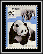 Giant Panda (Ailuropoda melanoleuca), African Elephant (Loxodonta africanus)