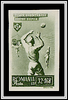 Volleyball