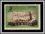 Shepherding