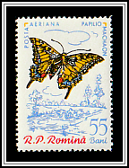 Swallowtail (Papilio machaon)