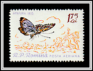 Purple Emperor (Apatura iris)