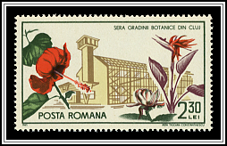 Flowers & Greenhouse