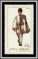 Dolj
