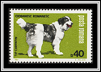 Mountain Sheepdog