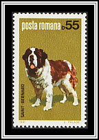 Saint Bernard