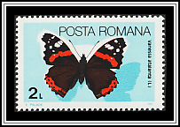 Red Admiral