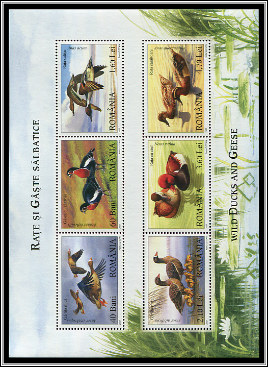 Souvenir Sheet
