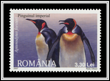 Aptenodytes Forsteri