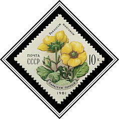 Parageum Montanum