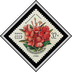 Rhododendron Kotschyi