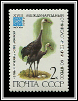 Grus Monacha
