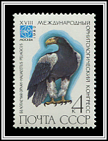Haliaeetus Pelagicus