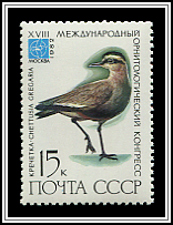 Vanellus Gregarius