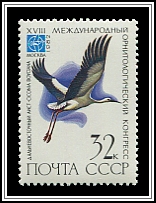 Ciconia Boyciana