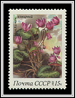 Cyclamen Europaeum