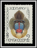 Mandrillus Sphinx