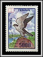 Falco Peregrinus
