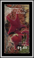 Sea Star
