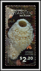Sponge