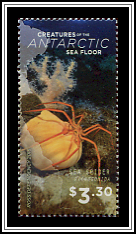 Sea Spider