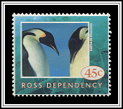 Emperor Penguin