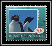 Adélie penguin