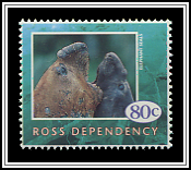 Southern Elephant Seal