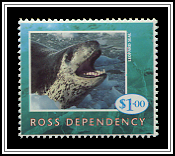 Leopard Seal