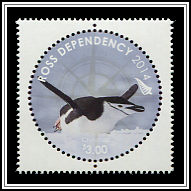 Pygoscelis Antarcticus