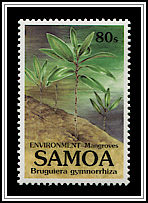 Seedlings