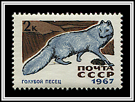 Alopex Lagopus