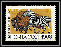 Bison & Zebra