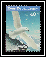 Snow Petrel