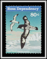 Cape Petrel