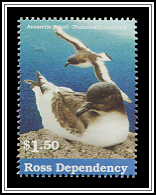 Antarctic Petrel