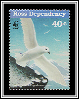 Snow Petrel