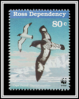 Cape Petrel