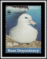 Southern Fulmar