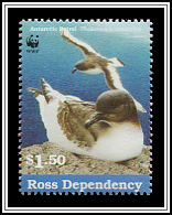 Antarctic Petrel