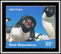 Adélie Penguin